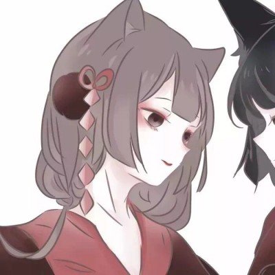 全国首个伴侣动物立法草案引争议